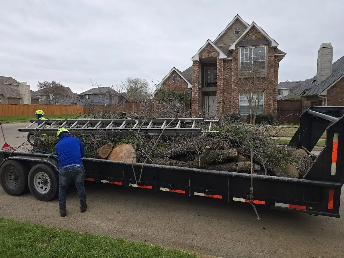 Expert Tree Pest Control with proper safety equipment in Edgewater
